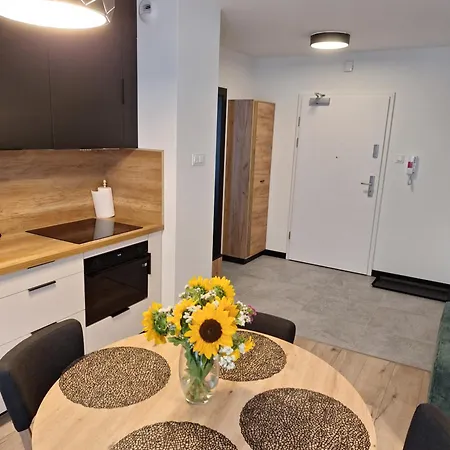 Apartament Karkonoski Karpacz Exterior foto